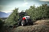 En rød og hvit smalsporet frukttraktor fra Steyr kommer kjørende fram mellom to rekker med frukttrær.