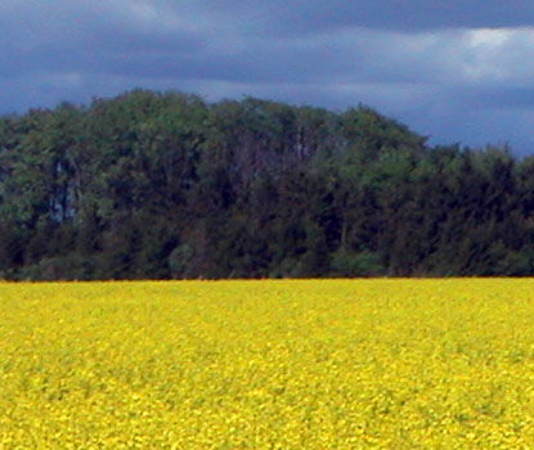 bioenergi m bioenergi m