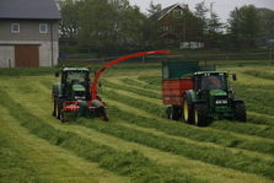 Kemper kjemper seg fram og sommerfuglene slår med vingene