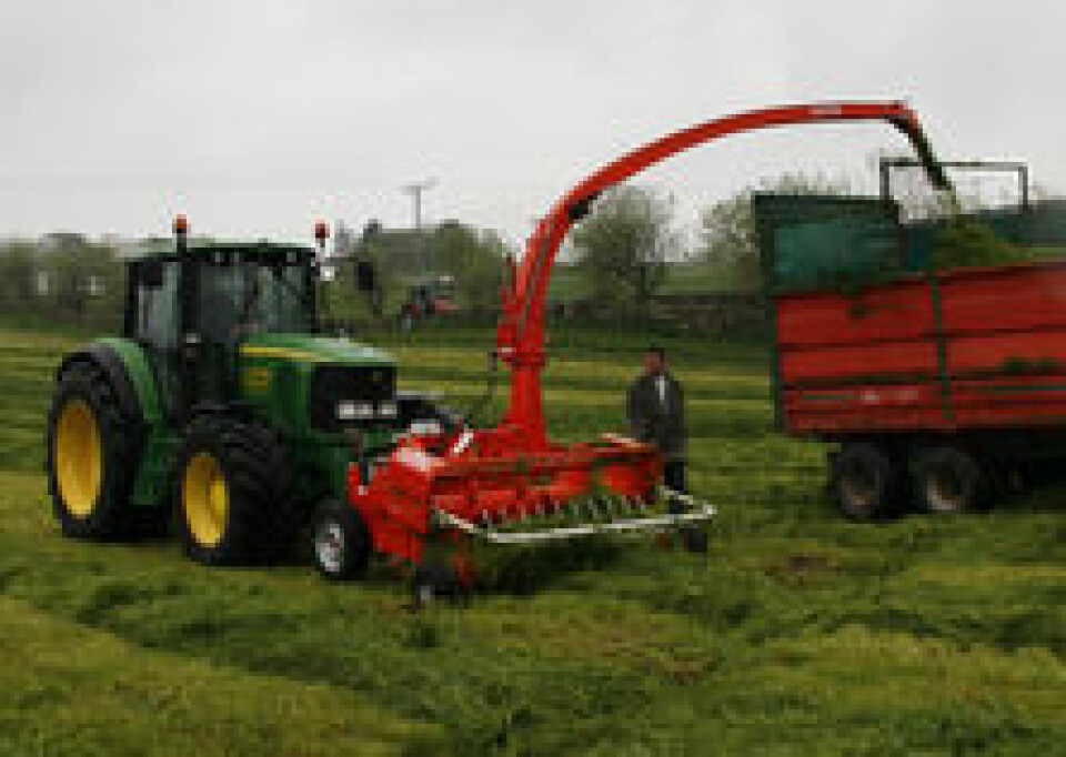 Kemper kjemper seg fram og sommerfuglene slår med vingene