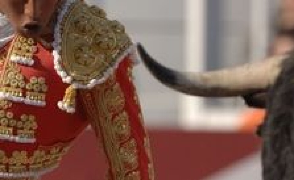 Sette bukken til havresekken eller ta tyren ved hornene?