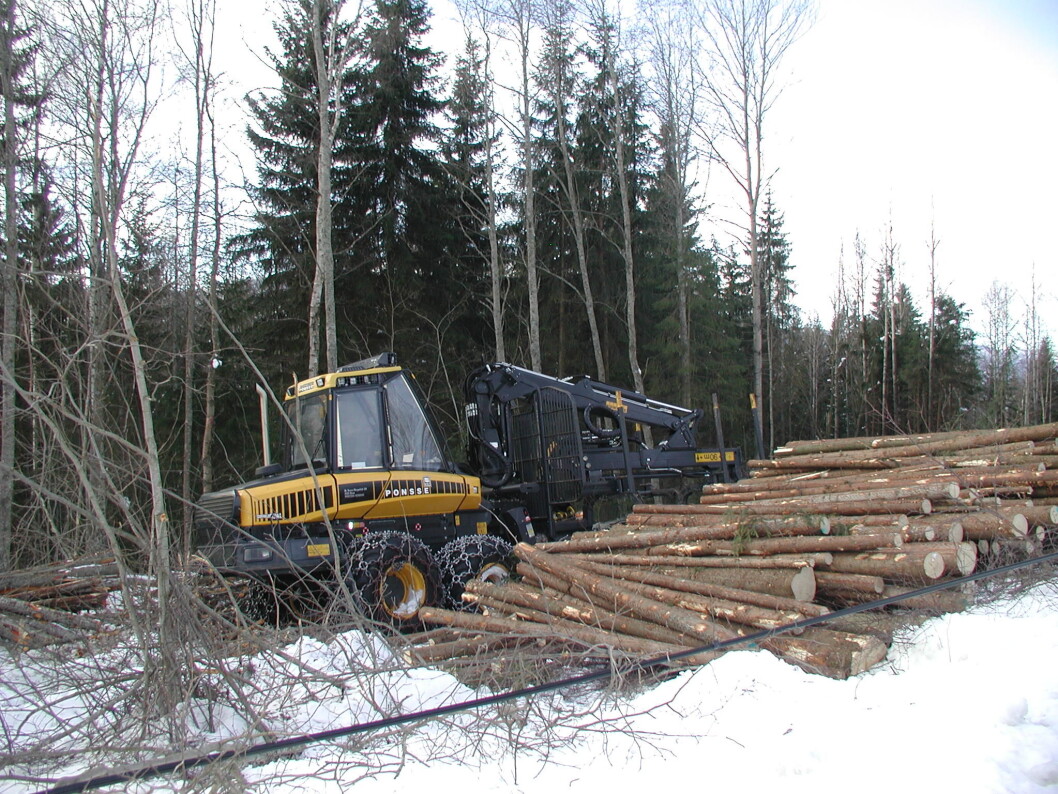Hedmarkskog Hedmarkskog