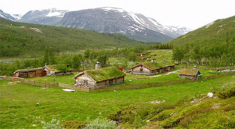 Seterlandskap ved Gammelsætre i Lindalen i Sunndal