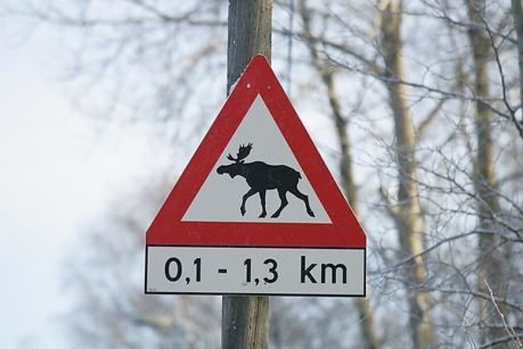 Elg3 Elg3