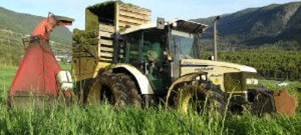 Ny vår for Vossakasso?