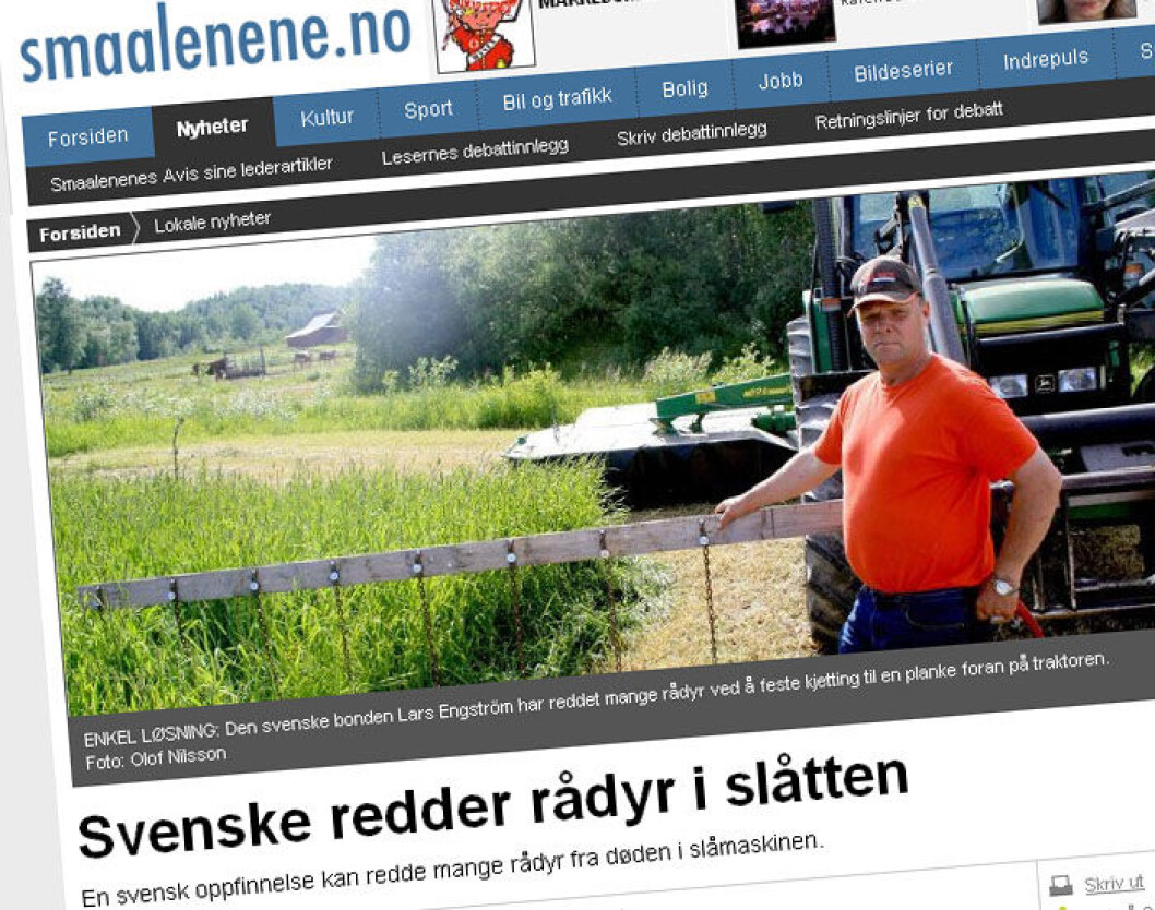smaalene-rådyr.jpg smaalene-rådyr.jpg