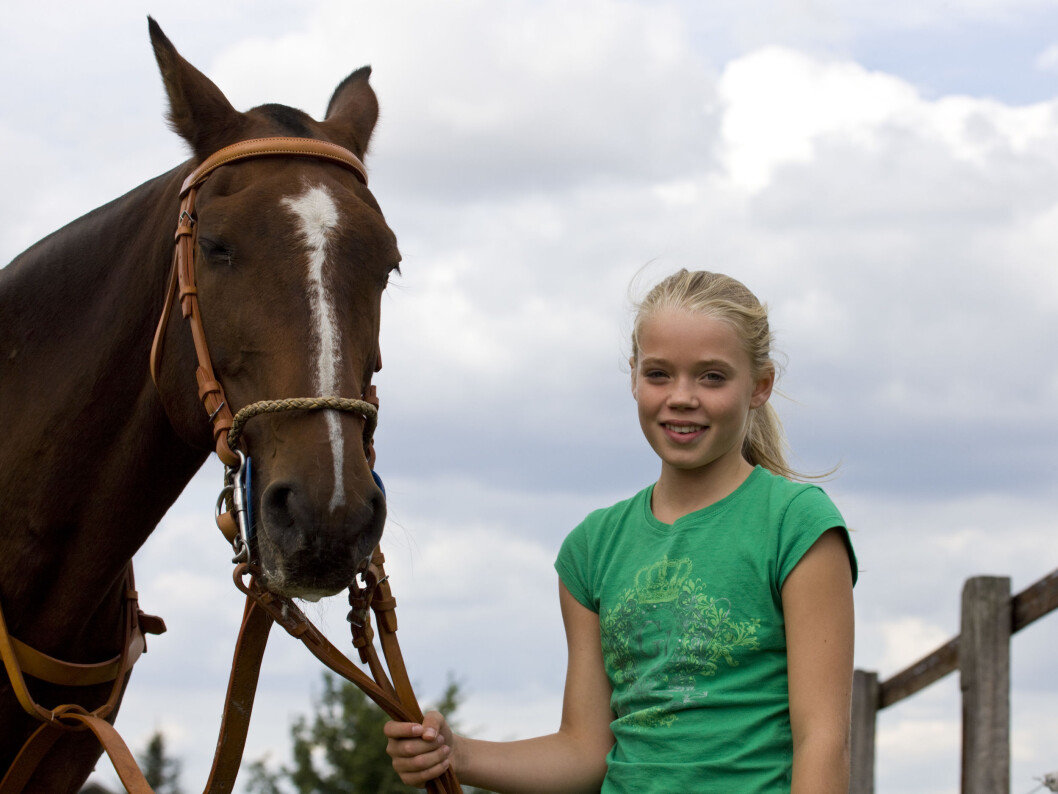 hest hest