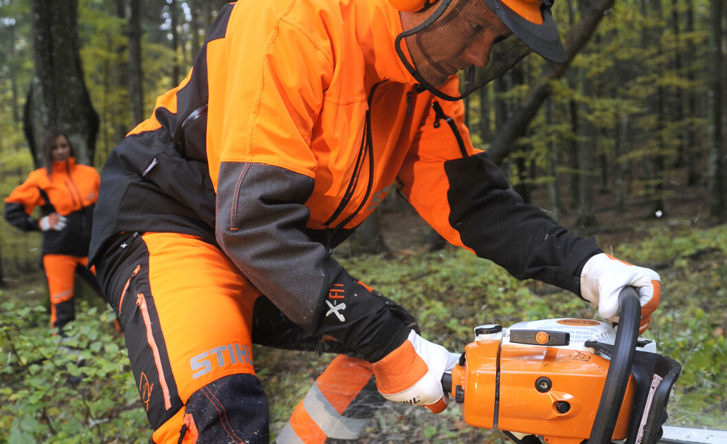 vernedress + Stihl vernedress + Stihl