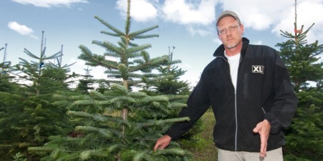 juletredyrker juletredyrker