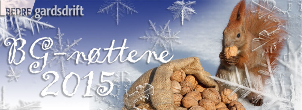 BGnøttene 2015 BGnøttene 2015