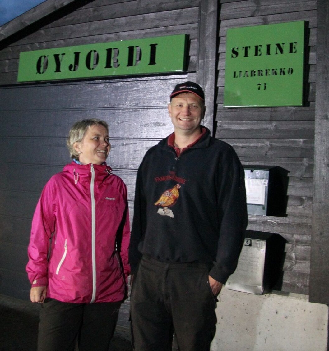 steine skilt BGnøttene15 steine skilt BGnøttene15