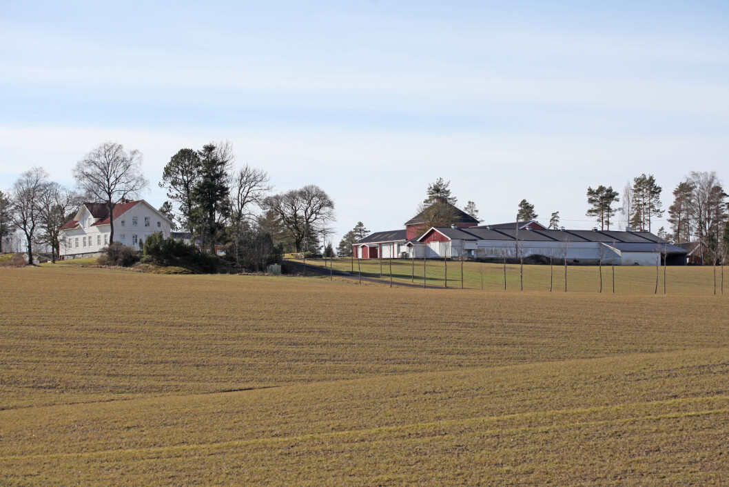 Snart er bare halvparten av landbruksarealet i Norge drevet av eier. Snart er bare halvparten av landbruksarealet i Norge drevet av eier.