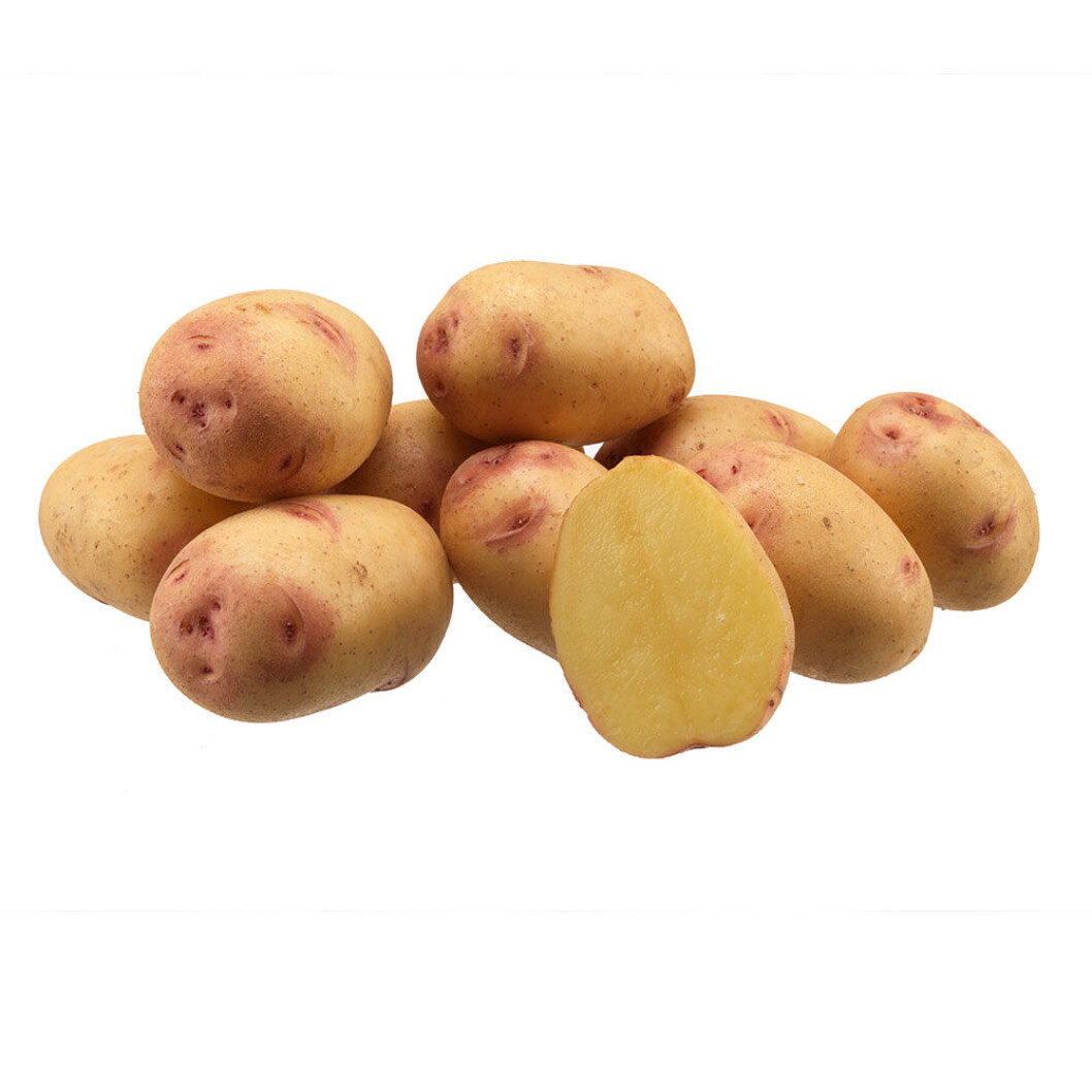 Den nederlandske matpotetsorten Carolus. Foto: organicpotatoes Den nederlandske matpotetsorten Carolus. Foto: organicpotatoes