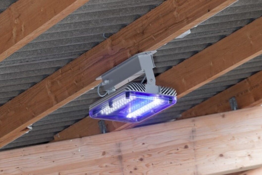 Med slike LED-lamper i fjøset sparer du strøm og kyrne trives og mjølker bedre, hevder produsenten, DeLaval. Med slike LED-lamper i fjøset sparer du strøm og kyrne trives og mjølker bedre, hevder produsenten, DeLaval.