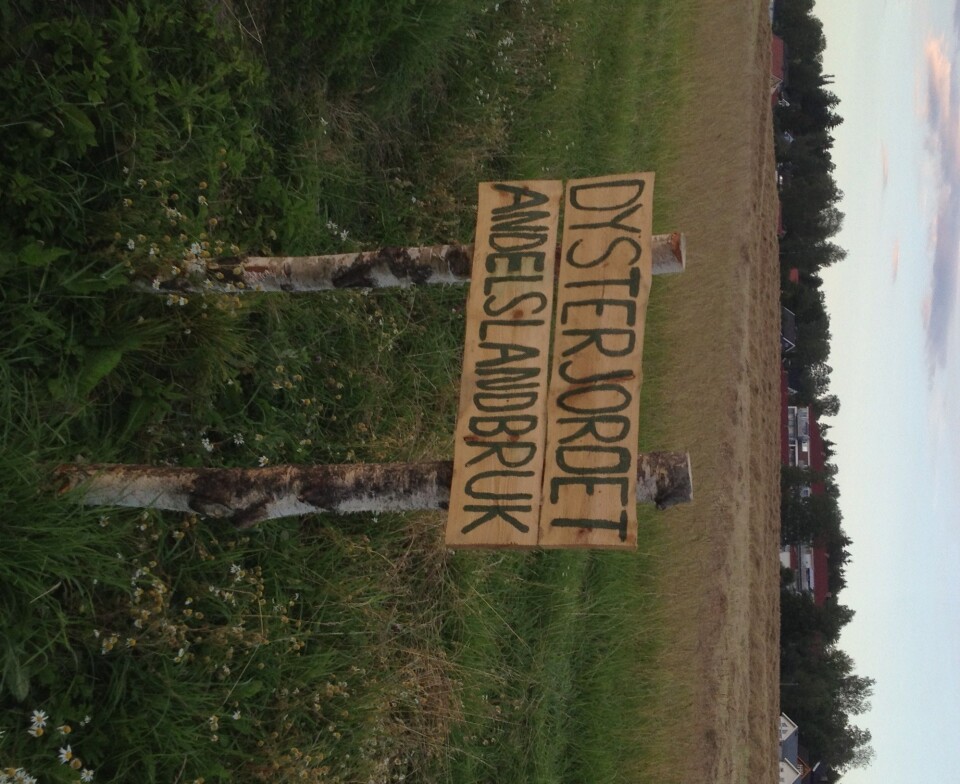 Dysterjordet andelslandbruk på Ås har måttet utvide arealene i år for å møte den økte etterspørselen.