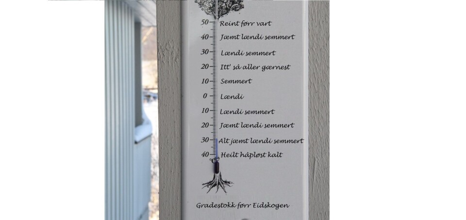 Flying start en vintermorgen