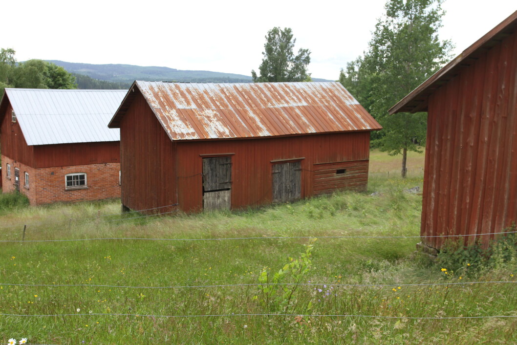 Stadig flere mjølkebruk i Sverige legges ned. Stadig flere mjølkebruk i Sverige legges ned.