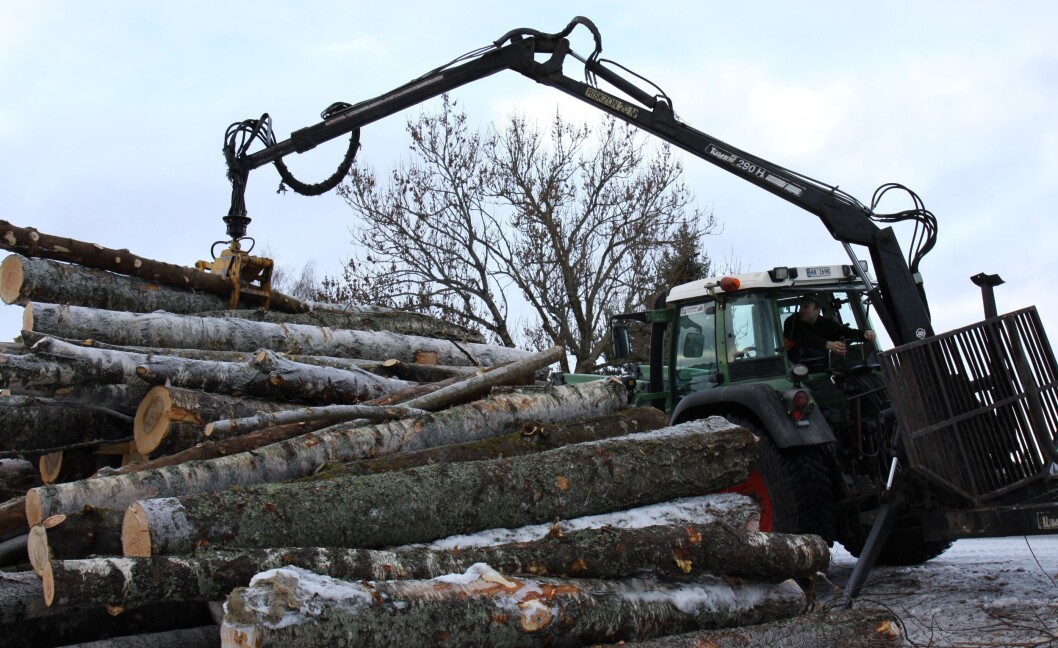 Tømmerprisene har steget og avvirkningen økt. Foto: S: Bigseth Tømmerprisene har steget og avvirkningen økt. Foto: S: Bigseth