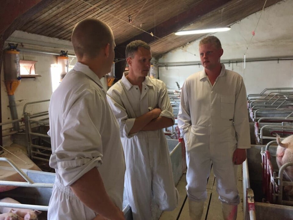 Mathias Sørensen og Jesper Jakobsen hentet inn råd da de skulle etablere svineproduksjonen. Pressefoto.