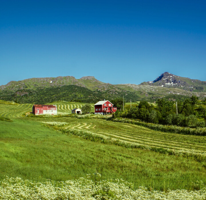 Framsnakk landbruket