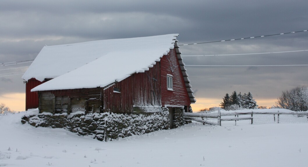Er du i tvil, fjern snø fra taket. Illustrasjonsfoto: Yay Images Er du i tvil, fjern snø fra taket. Illustrasjonsfoto: Yay Images