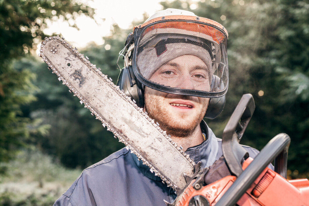 De høyeste driftsresultatene finner vi hos skogeeierne i Hedmark. Her ligger snittet på 110 000 kroner. Foto: colourbox.com De høyeste driftsresultatene finner vi hos skogeeierne i Hedmark. Her ligger snittet på 110 000 kroner. Foto: colourbox.com