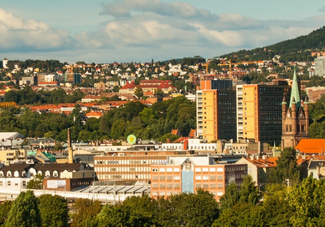 Er det Bondelagets oppgave å drive næringsutvikling i Oslo? Foto: Colourbox