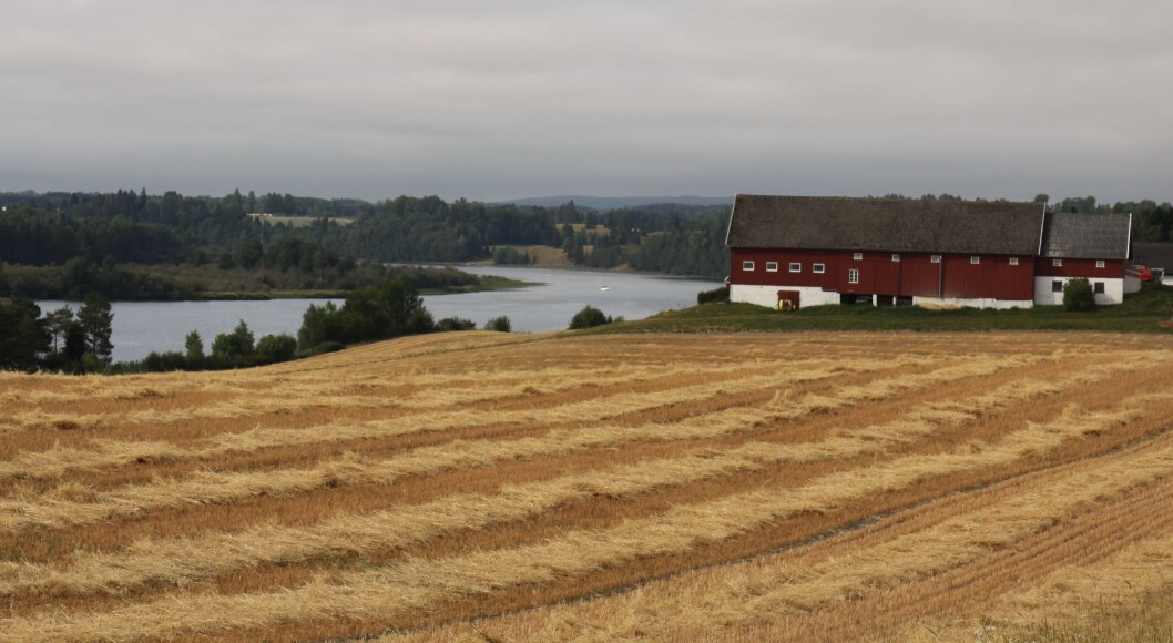 Kva er riktig pris på pressing av halm? BGs maskinleieprisliste kan hjelpe deg på veg. Foto: S. Bigseth Kva er riktig pris på pressing av halm? BGs maskinleieprisliste kan hjelpe deg på veg. Foto: S. Bigseth