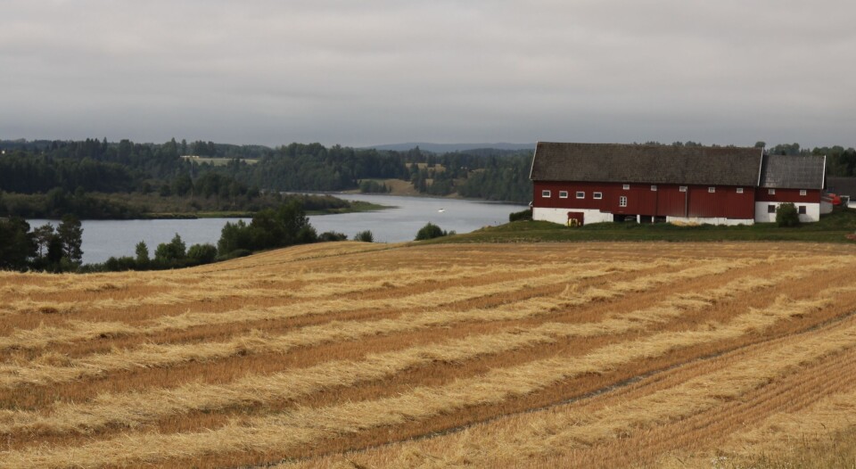 Kva er riktig pris på pressing av halm? BGs maskinleieprisliste kan hjelpe deg på veg. Foto: S. Bigseth