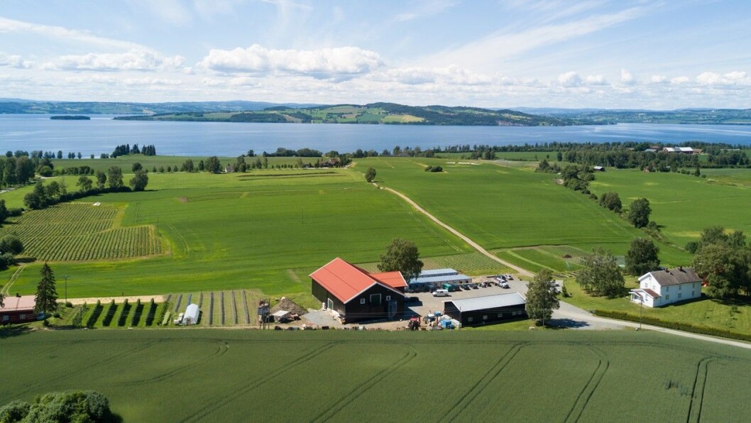 Dronebilde av garden Søndre Elton i Stange. Foto: Fredrik Gardshol Dronebilde av garden Søndre Elton i Stange. Foto: Fredrik Gardshol