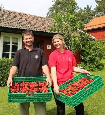 Børe Vold og Anette Løvlien Vold. Børe Vold og Anette Løvlien Vold.