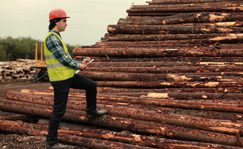 Statistikken over skogeiendommer viser at færre leverer tømmer til industriformål. Foto: colourbox.com