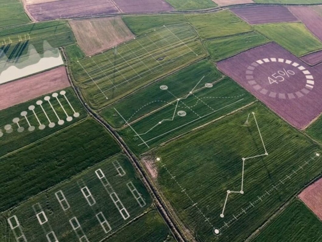 Yara og IBM kombinerer agronomikunnskap og ny teknologi for å utvikle en global digital landbruksplattform (foto: Yara) Yara og IBM kombinerer agronomikunnskap og ny teknologi for å utvikle en global digital landbruksplattform (foto: Yara)