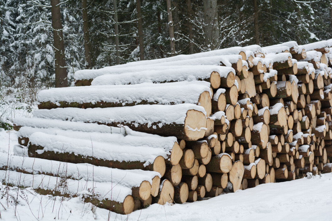 Denne vinteren er det hogd tre millioner kubikkmeter tømmer til industrivirke. Foto: colourbox.com Denne vinteren er det hogd tre millioner kubikkmeter tømmer til industrivirke. Foto: colourbox.com
