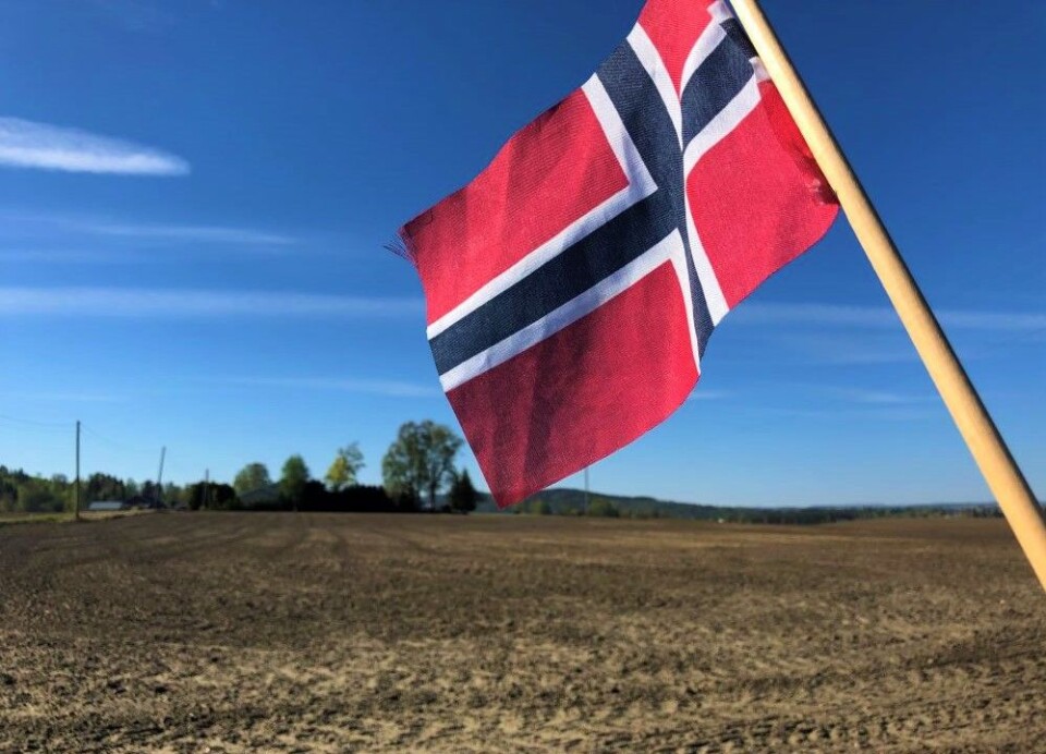 Greit med våronn på nasjonaldagen