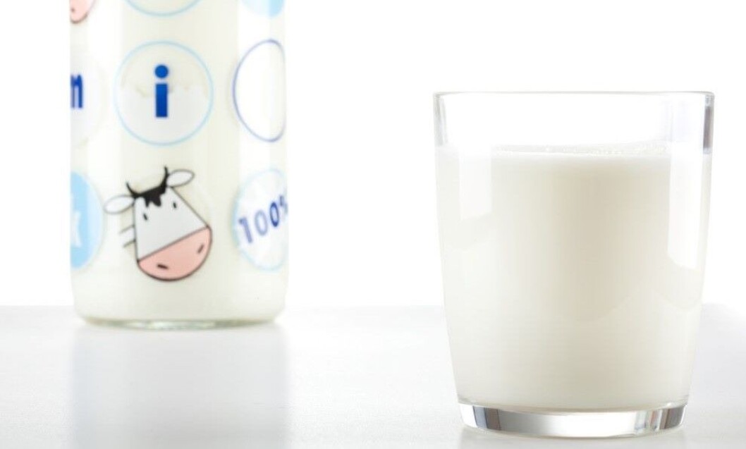 Vil melk fra kua måtte vike for syntetisk framstilt melkeprotein. Foto: Colourbox Vil melk fra kua måtte vike for syntetisk framstilt melkeprotein. Foto: Colourbox