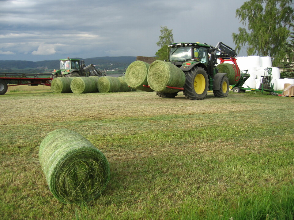 Traktor i drift på jordet i forbindelse med rundballepakking.