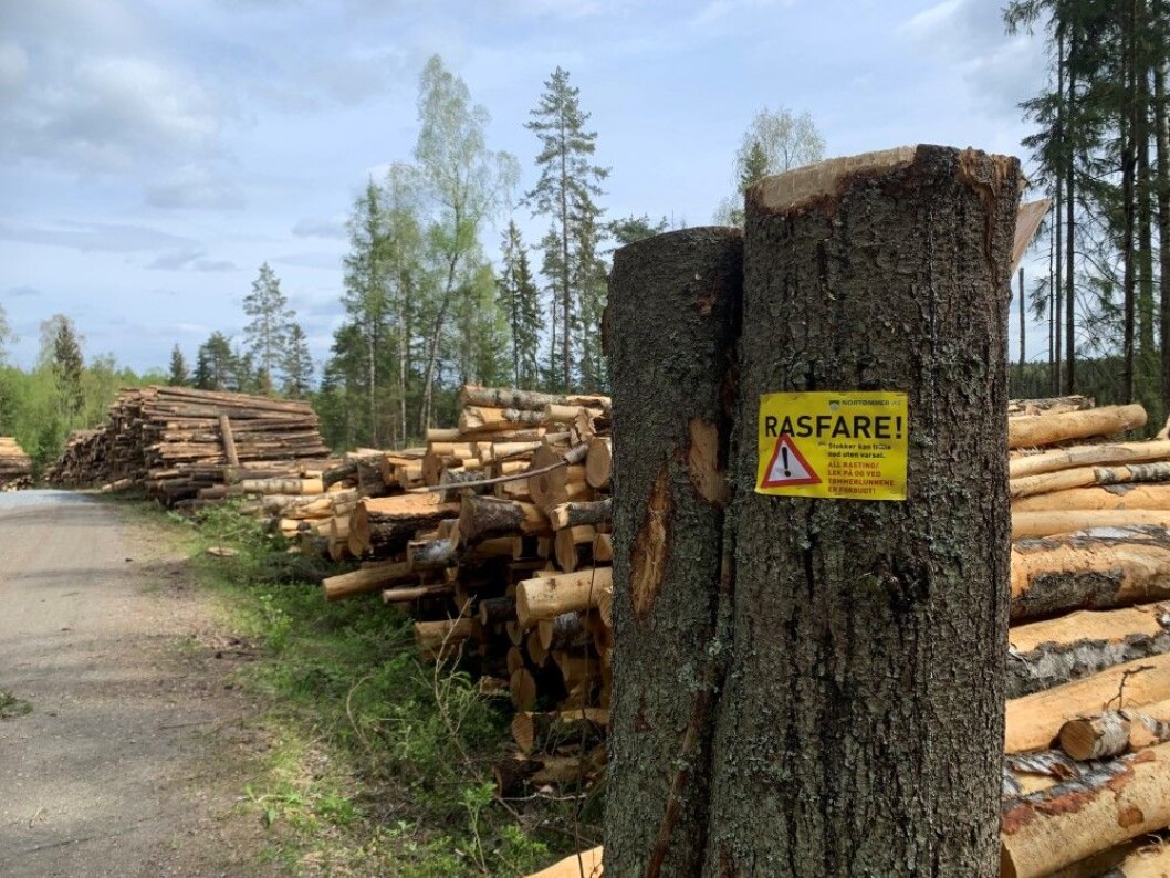 Massevirke-prisene øker i annet kvartal 2019. Massevirke-prisene øker i annet kvartal 2019.