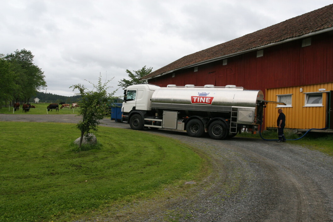 Å måtte trekke ut mjølkeslangen med egen muskelkraft kan bli en saga blott med de nye tankbilene fra Tine. Arkivfoto: Bo Hansen Å måtte trekke ut mjølkeslangen med egen muskelkraft kan bli en saga blott med de nye tankbilene fra Tine. Arkivfoto: Bo Hansen