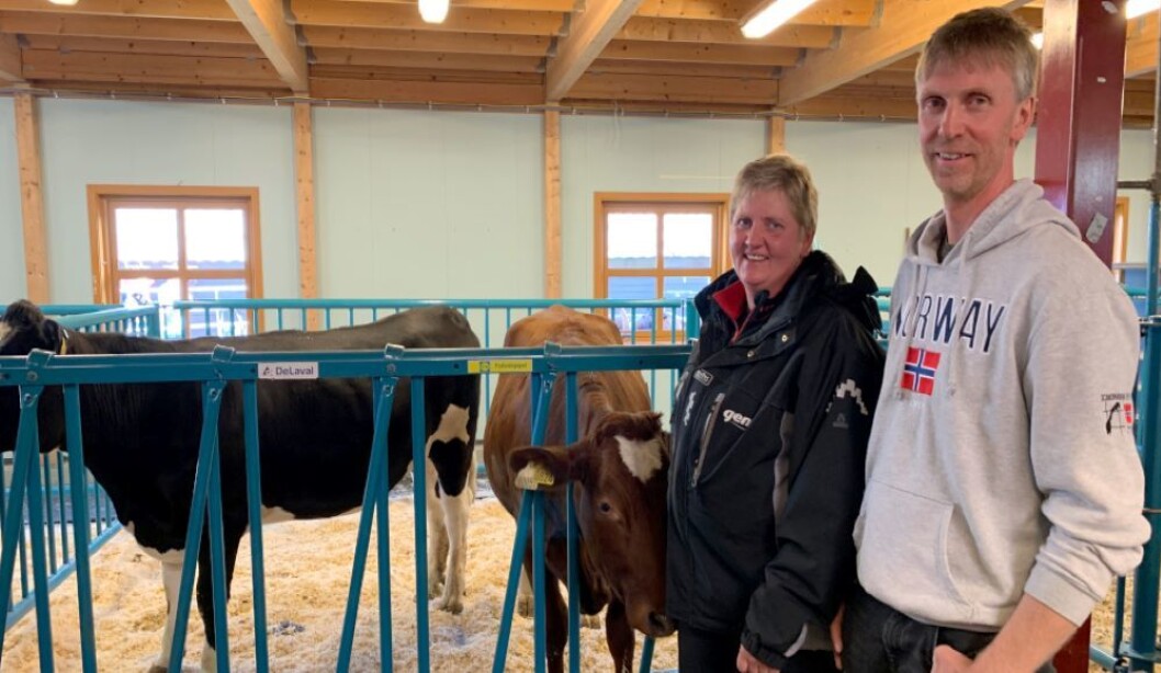 De nye, stolte eierne av NRF-elitekvigene Andrea (svart og hvit) og Annea. f.v. Anne Bakke Handeland og Håvard Haugland. Foto: Kristin Mengshoel De nye, stolte eierne av NRF-elitekvigene Andrea (svart og hvit) og Annea. f.v. Anne Bakke Handeland og Håvard Haugland. Foto: Kristin Mengshoel