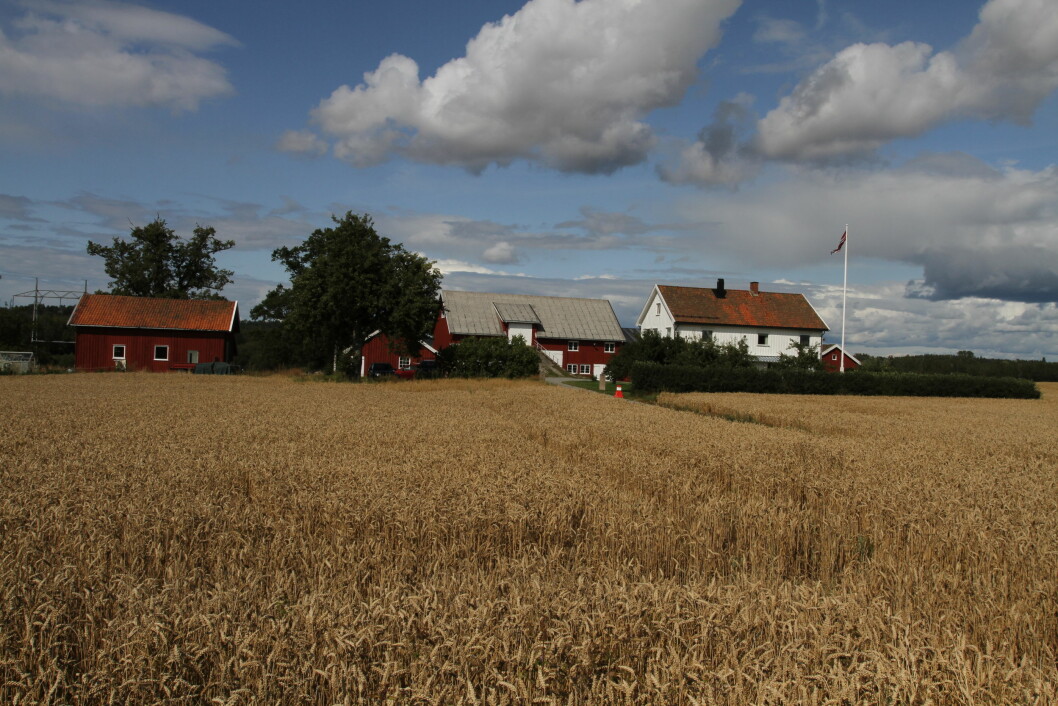 Hver fjortende nordmann har boligadresse tilhørende en landbrukseiendom.