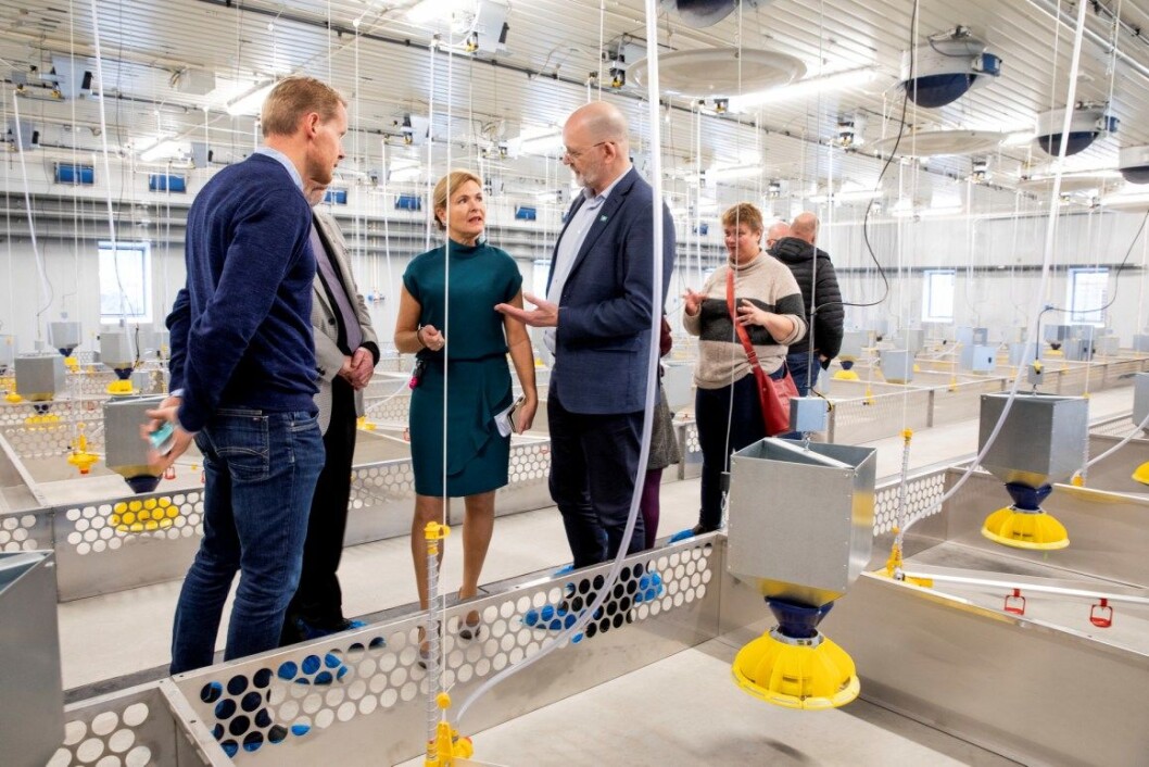 Administrasjonsdirektør Lars Atle Holm (t,v) sammen med avdelingsleder Irma Oskam (midten) og rektor Sjur Baardsen (t.h) under omvisning i det nye fjørfehuset ved åpninga. Foto: Håkon Sparre Administrasjonsdirektør Lars Atle Holm (t,v) sammen med avdelingsleder Irma Oskam (midten) og rektor Sjur Baardsen (t.h) under omvisning i det nye fjørfehuset ved åpninga. Foto: Håkon Sparre