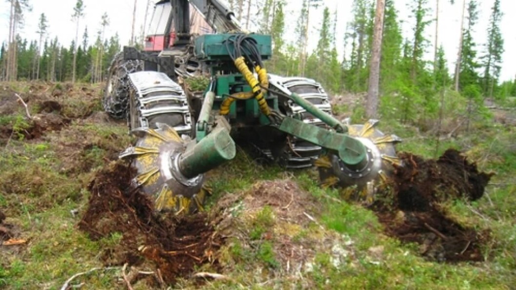 Svensk forskning viser at markberedning svarer seg - i alle fall i de første 30 årene. Foto: Mjøsen Svensk forskning viser at markberedning svarer seg - i alle fall i de første 30 årene. Foto: Mjøsen