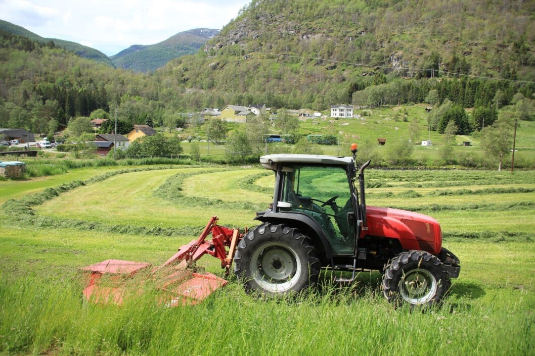 Fire av de fem dødsfallene i fjor skjedde i jordbruket. Illustrasjonsfoto: colourbox.com Fire av de fem dødsfallene i fjor skjedde i jordbruket. Illustrasjonsfoto: colourbox.com