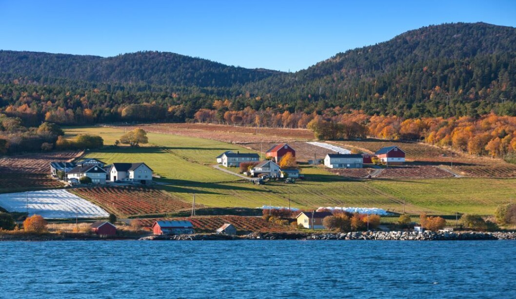 Vi lar dette bildet fra jordbærbygda Lensvik representere norsk landbruk denne gangen. Foto: colourbox.com Vi lar dette bildet fra jordbærbygda Lensvik representere norsk landbruk denne gangen. Foto: colourbox.com