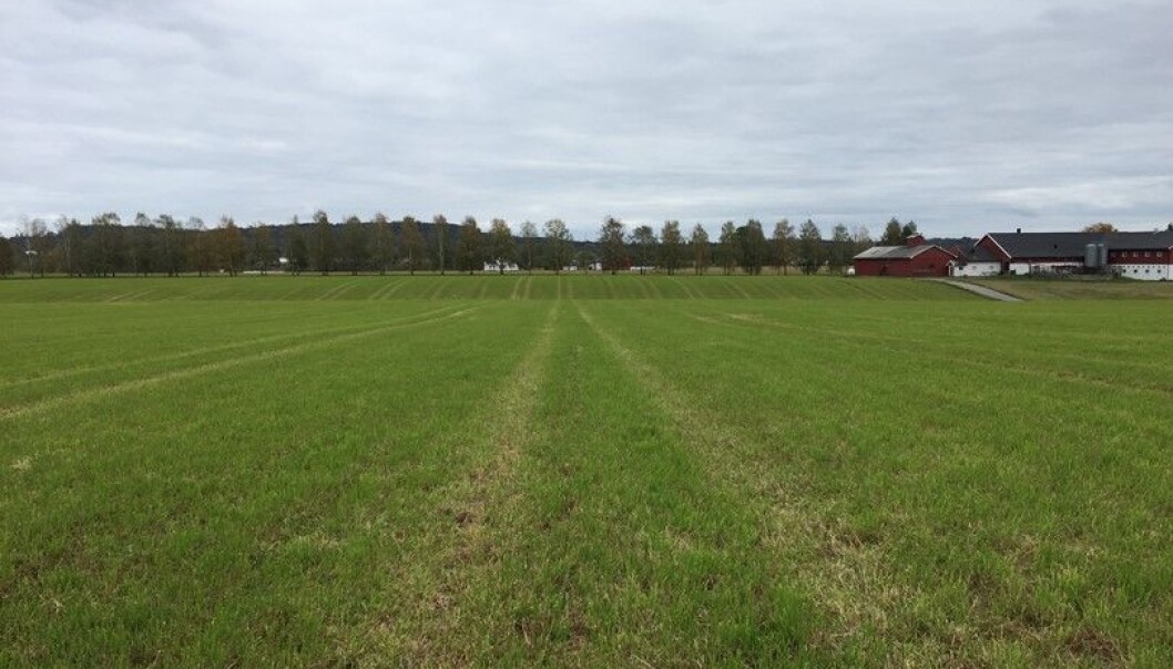 Eng er velegnet for faste kjørespor. Eng er velegnet for faste kjørespor.