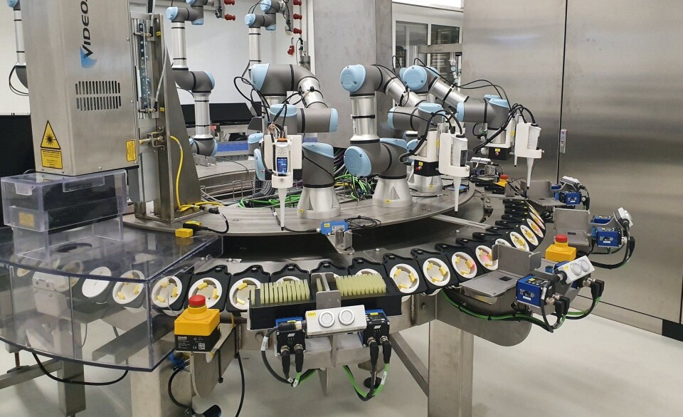 Nå kan det bli slutt på kverning av hanekyllinger