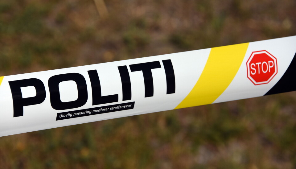 To personer trolig drept av okser
