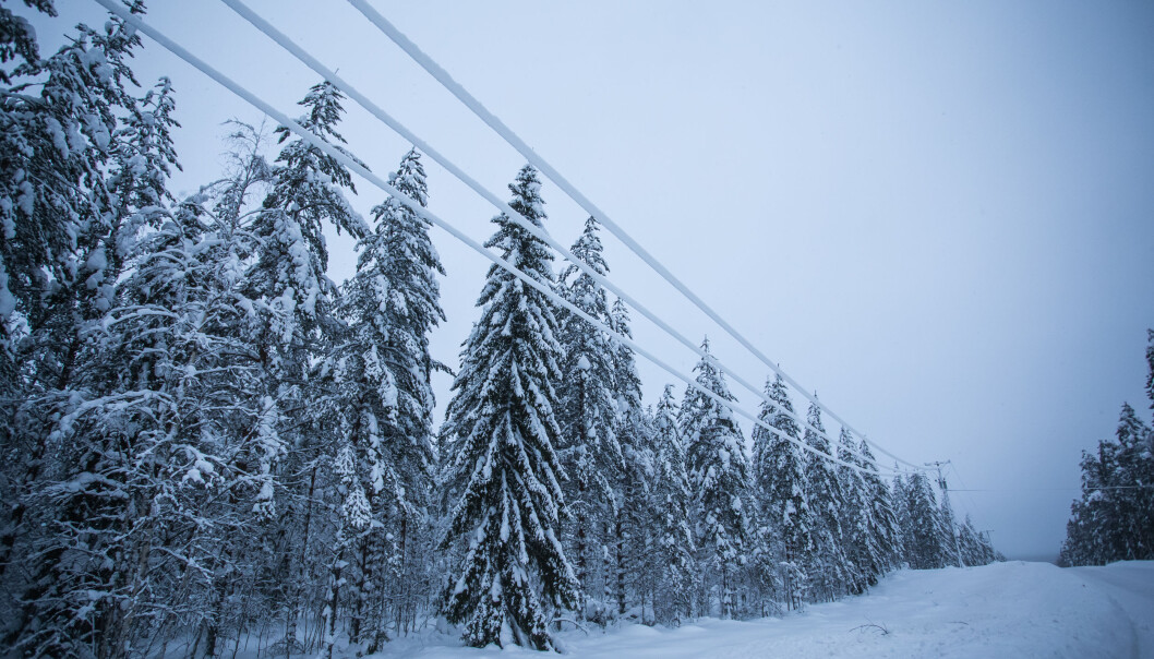 Skikkelig vedlikehold i form av breie og rydda traseer vil hindre en del av strømbrudda. Skikkelig vedlikehold i form av breie og rydda traseer vil hindre en del av strømbrudda.