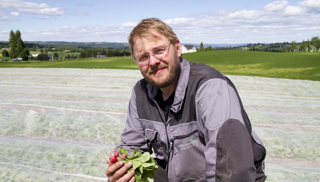 Grønnsaksprodusent Einar Dyste ved Lundstad grønt AS på Toten. Foto: Lars Ovlien Grønnsaksprodusent Einar Dyste ved Lundstad grønt AS på Toten. Foto: Lars Ovlien